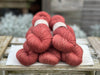 Titus 4ply in Red Kite (Dyelot 070225)