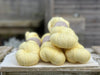 Pendle 4ply in Daffodil (dyelot 100225) - 100% superwash merino