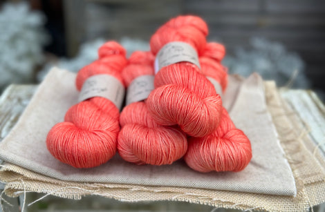 Titus 4ply in Rosehip (Dyelot 071124)