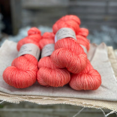 Titus 4ply in Rosehip (Dyelot 071124)