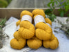 Hayton 4ply in Marigold (Dyelot 150824)