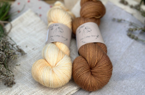 Hayton 4ply skein pair - Dahlia and Twig