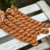 Brimham DK 20g Mini Skein in Twig (Dyelot 190924)