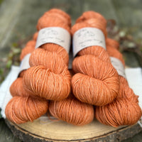 Brimham 4ply in Autumn (Dyelot 230924)