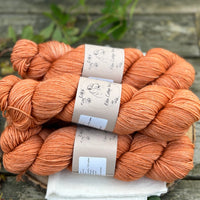 Brimham 4ply in Autumn (Dyelot 230924)