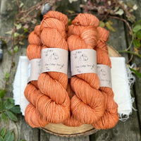 Brimham 4ply in Autumn (Dyelot 230924)