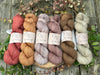 Six colour Rosedale 4ply/fingering weight yarn pack -1