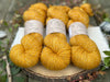 Nateby 4ply in Marigold (Dyelot 260924)