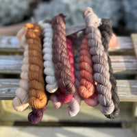 12 x 20g 4ply mini skeins yarn pack