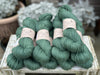 Bowland Aran in Larch (Dyelot 281124)