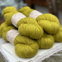 Tempo 4ply in Hazel (dyelot 111224)