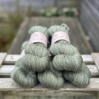 Hayton DK in Ivy (Dyelot 040225)