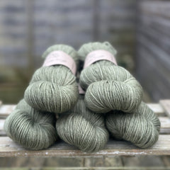 Hayton DK in Ivy (Dyelot 040225)