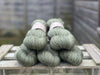 Hayton DK in Ivy (Dyelot 040225)