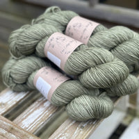 Hayton DK in Ivy (Dyelot 040225)