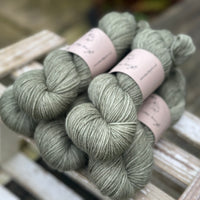 Hayton DK in Ivy (Dyelot 040225)