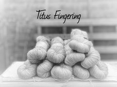 Titus Fingering - superwash extrafine merino/silk