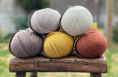 10 balls of yarn in five colours, a palette of browns 